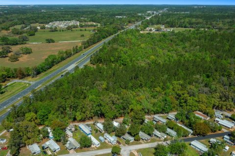 Land in Brooksville, Florida № 1723277 - photo 6