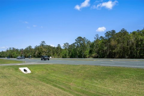 Land in Brooksville, Florida № 1723277 - photo 29