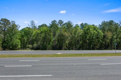 Land in Brooksville, Florida № 1723277 - photo 19