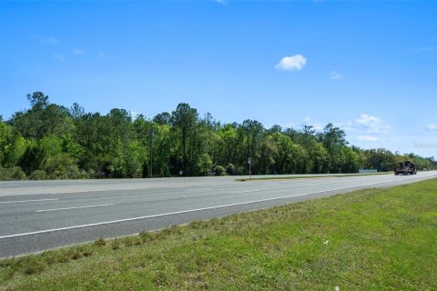 Land in Brooksville, Florida № 1723277 - photo 27