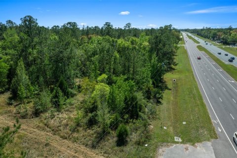 Land in Brooksville, Florida № 1723277 - photo 21