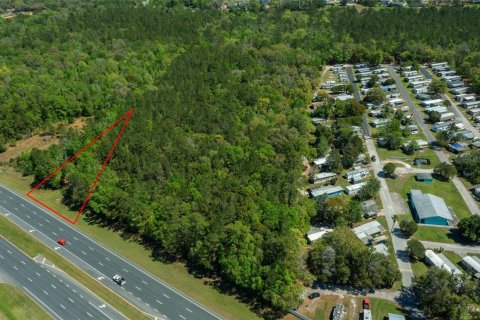 Land in Brooksville, Florida № 1723277 - photo 2