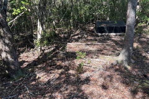 Land in Inverness, Florida № 2148056 - photo 5