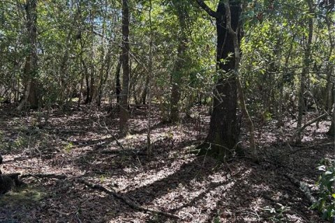 Land in Inverness, Florida № 2148056 - photo 4