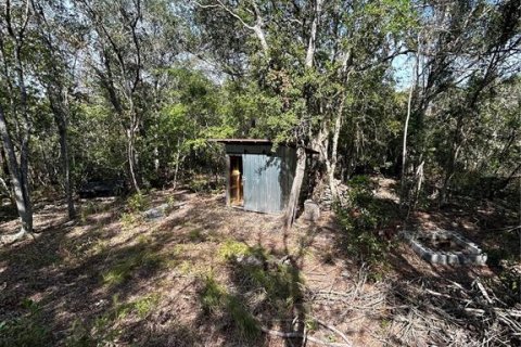 Land in Inverness, Florida № 2148056 - photo 8