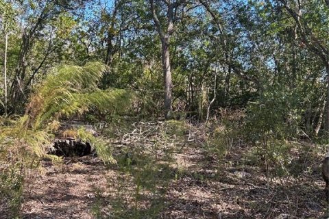 Land in Inverness, Florida № 2148056 - photo 3