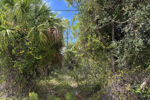 Land in Port Charlotte, Florida № 2229066 - photo 3