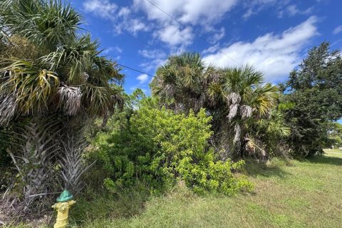 Land in Port Charlotte, Florida № 2229066 - photo 2