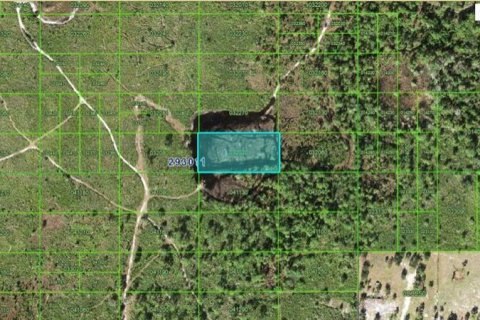 Terreno en Lake Wales, Florida № 2202842