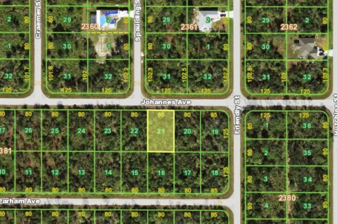 Land in Port Charlotte, Florida № 2166123 - photo 2