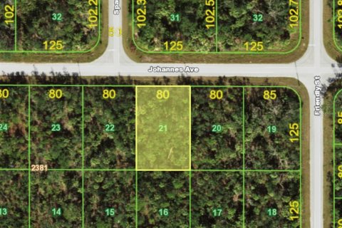Land in Port Charlotte, Florida № 2166123
