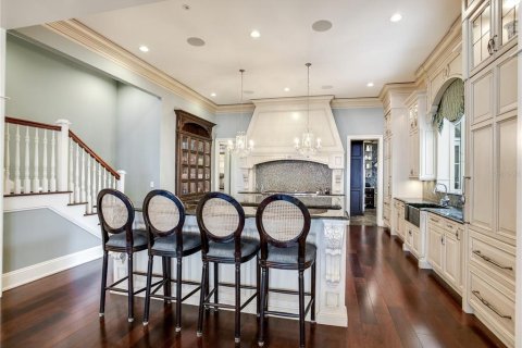 House in Tampa, Florida 8 bedrooms, 1725.01 sq.m. № 2097143 - photo 23