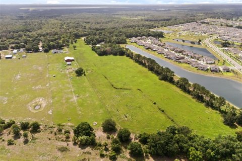 House in Fish Hawk, Florida 3 bedrooms, 124.86 sq.m. № 2227021 - photo 17