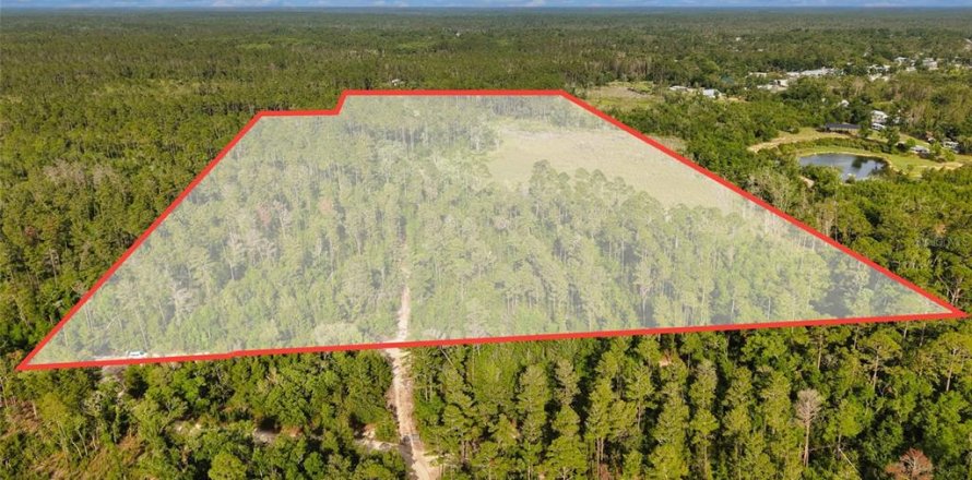 Terrain à Steinhatchee, Floride № 2329652