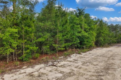 Terrain à vendre à Steinhatchee, Floride № 2329652 - photo 6