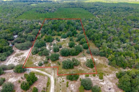 Land in Branford, Florida № 2361207