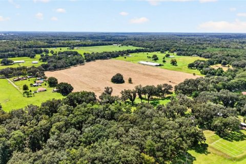 Land in Ocala, Florida № 2388245 - photo 10
