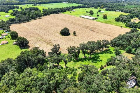 Land in Ocala, Florida № 2388245 - photo 9