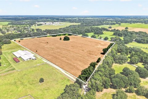 Land in Ocala, Florida № 2388245 - photo 2