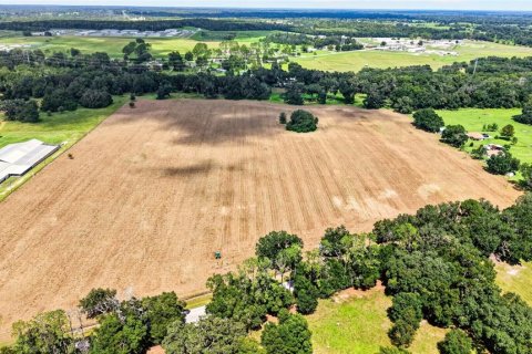 Land in Ocala, Florida № 2388245 - photo 16