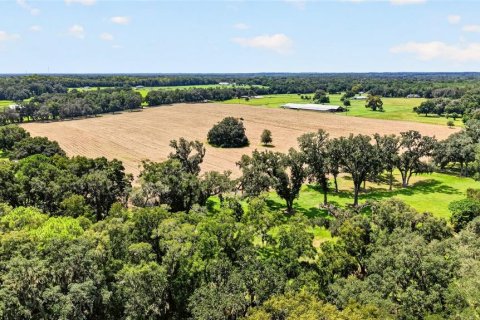 Land in Ocala, Florida № 2388245 - photo 6