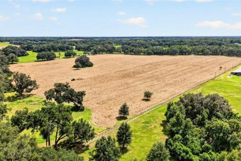 Land in Ocala, Florida № 2388245 - photo 3