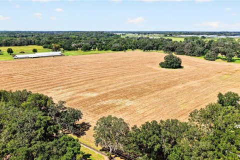 Land in Ocala, Florida № 2388245 - photo 7