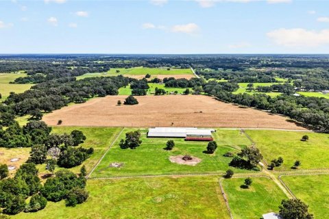 Land in Ocala, Florida № 2388245 - photo 5