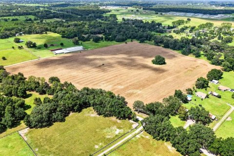 Land in Ocala, Florida № 2388245 - photo 17