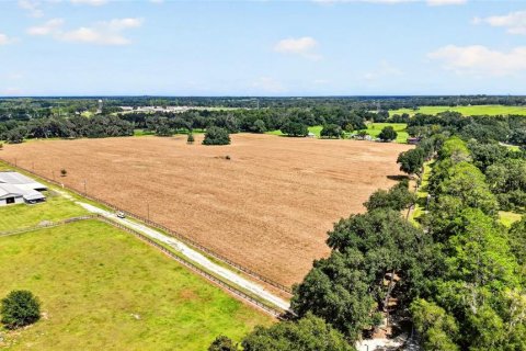 Land in Ocala, Florida № 2388245 - photo 11