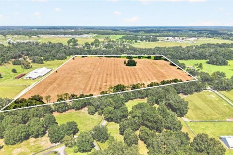 Land in Ocala, Florida № 2388245