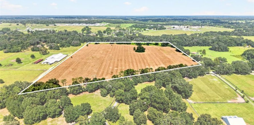Land in Ocala, Florida № 2388245