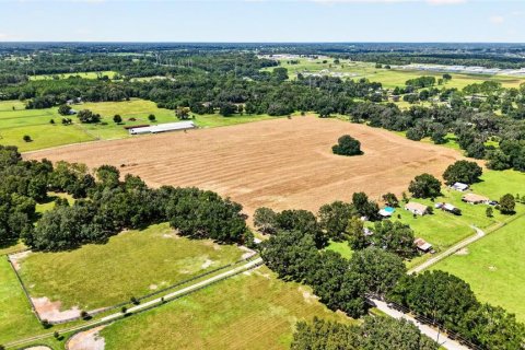 Land in Ocala, Florida № 2388245 - photo 8