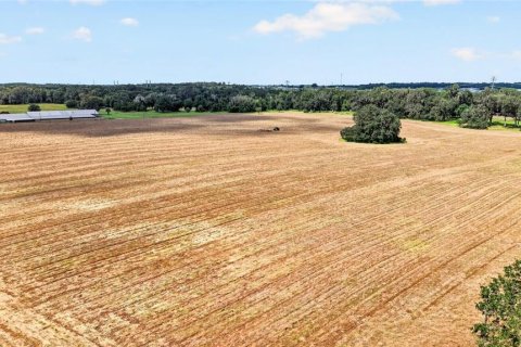 Land in Ocala, Florida № 2388245 - photo 18