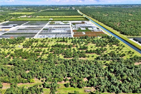 Commercial property in Homestead, Florida № 1956897 - photo 7