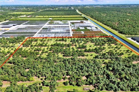 Commercial property in Homestead, Florida № 1956897 - photo 2