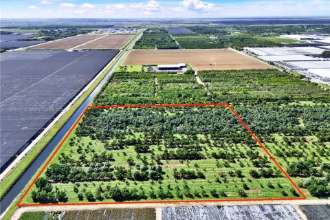 Commercial property in Homestead, Florida № 1956897 - photo 3