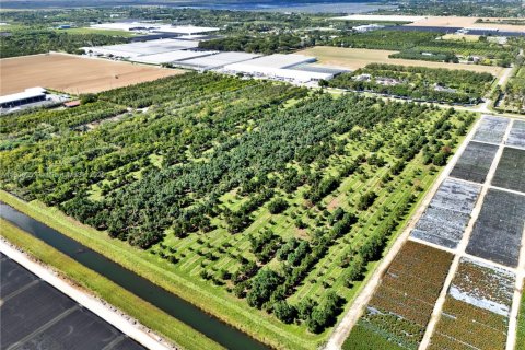 Commercial property in Homestead, Florida № 1956897 - photo 8