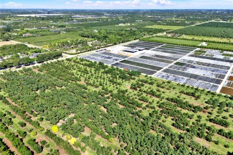 Commercial property in Homestead, Florida № 1956897 - photo 6