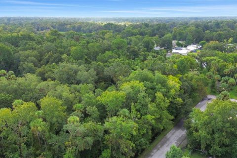 Terreno en venta en Ormond Beach, Florida № 2097627 - foto 12