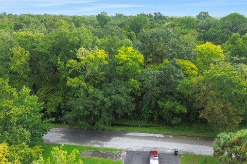 Terreno en venta en Ormond Beach, Florida № 2097627 - foto 2