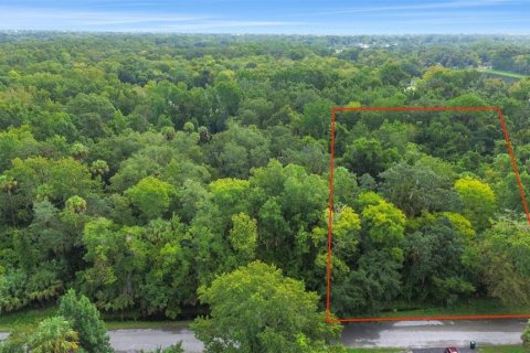 Terreno en venta en Ormond Beach, Florida № 2097627 - foto 4