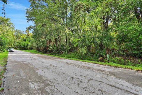 Land in Ormond Beach, Florida № 2097627