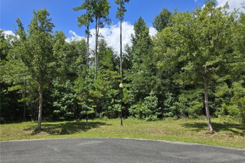 Land in Gainesville, Florida № 2347167