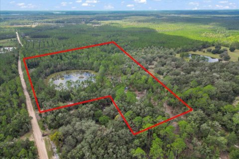 Land in Interlachen, Florida № 778289 - photo 1