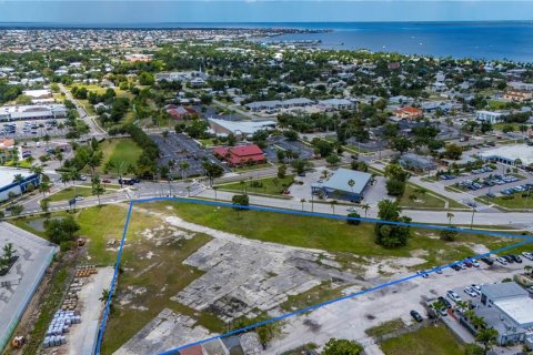 Land in Punta Gorda, Florida № 213663 - photo 3