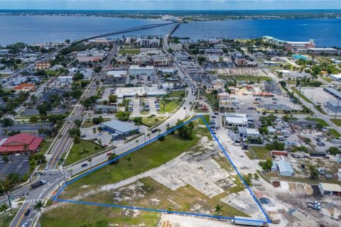 Land in Punta Gorda, Florida № 213663 - photo 4