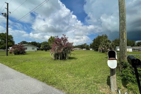 Land in Umatilla, Florida № 1802387 - photo 4