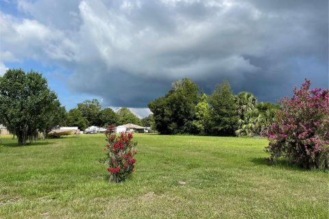 Land in Umatilla, Florida № 1802387 - photo 1