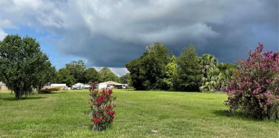 Land in Umatilla, Florida № 1802387